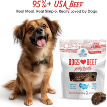 Farmland Traditions Beef Jerky Dog with 3 Ingredients and No Fillers