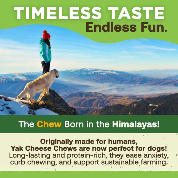 EcoKind Premium Gold Yak Cheese Himalayan Dog Chews for Large Breed, Aggressive Chewers, Natural, High Protein, 4 Chews (1 lb)