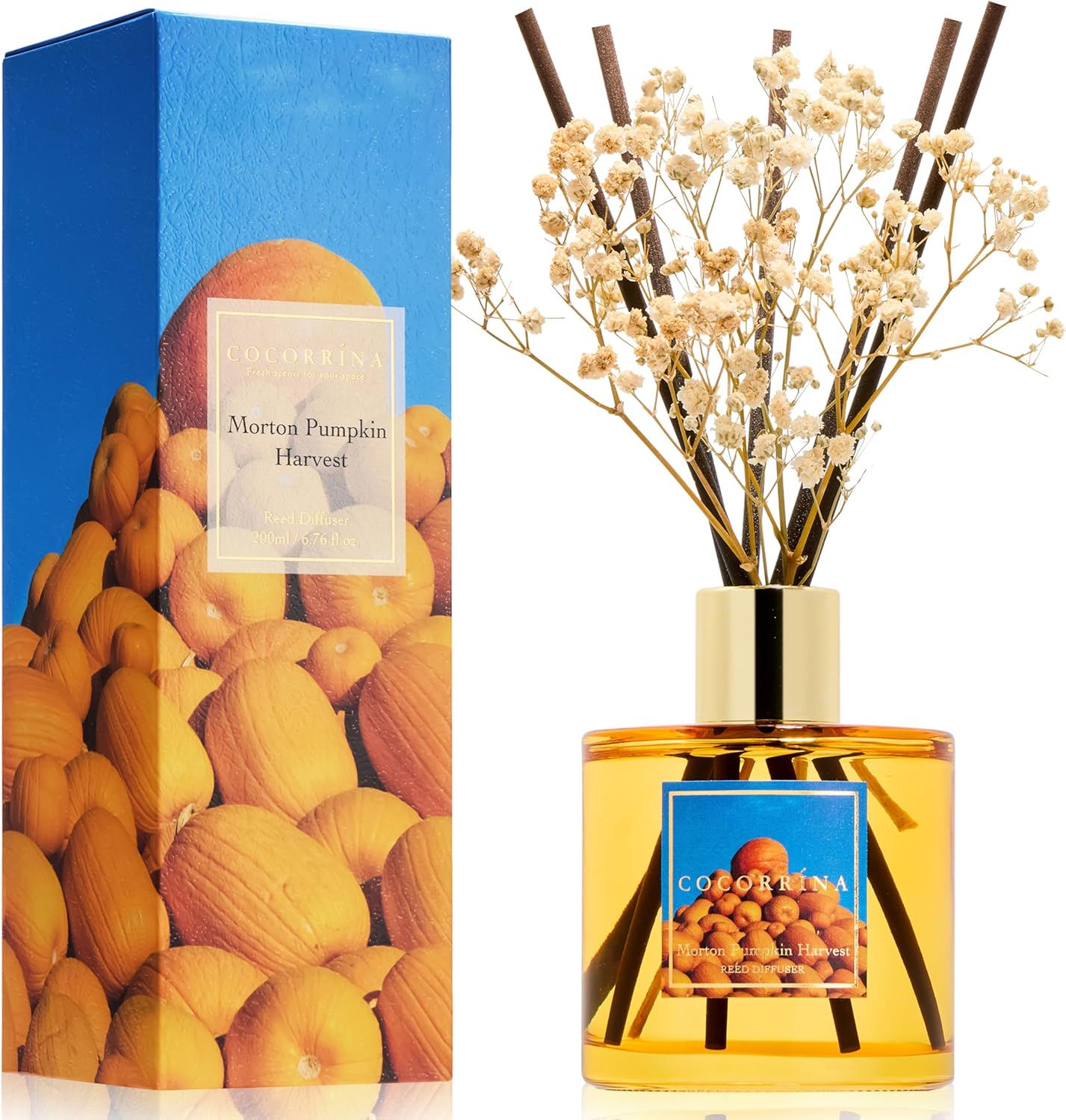 Cocorrína Premium Reed Diffuser Set with Preserved Baby's Breath & Cotton Stick Cashmere Vanilla | 6.7 fl oz Scent Fragrance Oil Diffuser for Bedroom Bathroom Home Décor