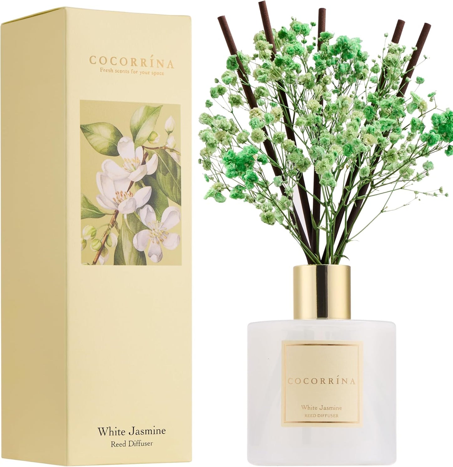 Cocorrína Premium Reed Diffuser Set with Preserved Baby's Breath & Cotton Stick Cashmere Vanilla | 6.7 fl oz Scent Fragrance Oil Diffuser for Bedroom Bathroom Home Décor