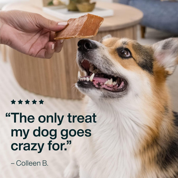 JustFoodForDogs Beef Brisket Dog, Human Grade, Grain Free, Rawhide Free, Low Calorie, 5 oz