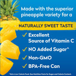Dole Tropical Gold Pineapple Chunks in 100% Pineapple Juice, 15.25 Oz, 12 Count, Gluten Free, No Sugar Added