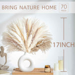 70PCS natural dried pampas grass boho home decor bouquet phragmites dried flowers bouquet