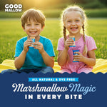 GoodMallow Vegan Rice Crispy Individually Wrapped Box of 8, Kosher, Gluten Free, Dairy Free Snacks