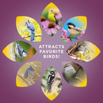 Audubon Park Nut & Fruit Snack Stack Bird Food 6-Pack