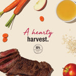 The Honest Kitchen Human Grade Dog Food Jerky Harvest Mini Bars Beef Recipe
