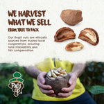 Brazil Nuts, 15 oz, Raw, Unsalted, Kosher, Organic, Vegan, Gluten Free, Harvested in Amazon Rainforest
