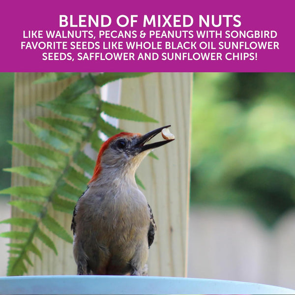 Pennington Ultra Double Nut and Fruit Bird Feed 10lbs
