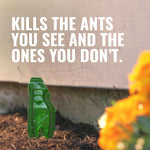 TERRO Liquid Ant Baits - T1813B - Outdoor Ready-to-Use Terro Ant Traps, Kills Household Ants, 12 Stakes