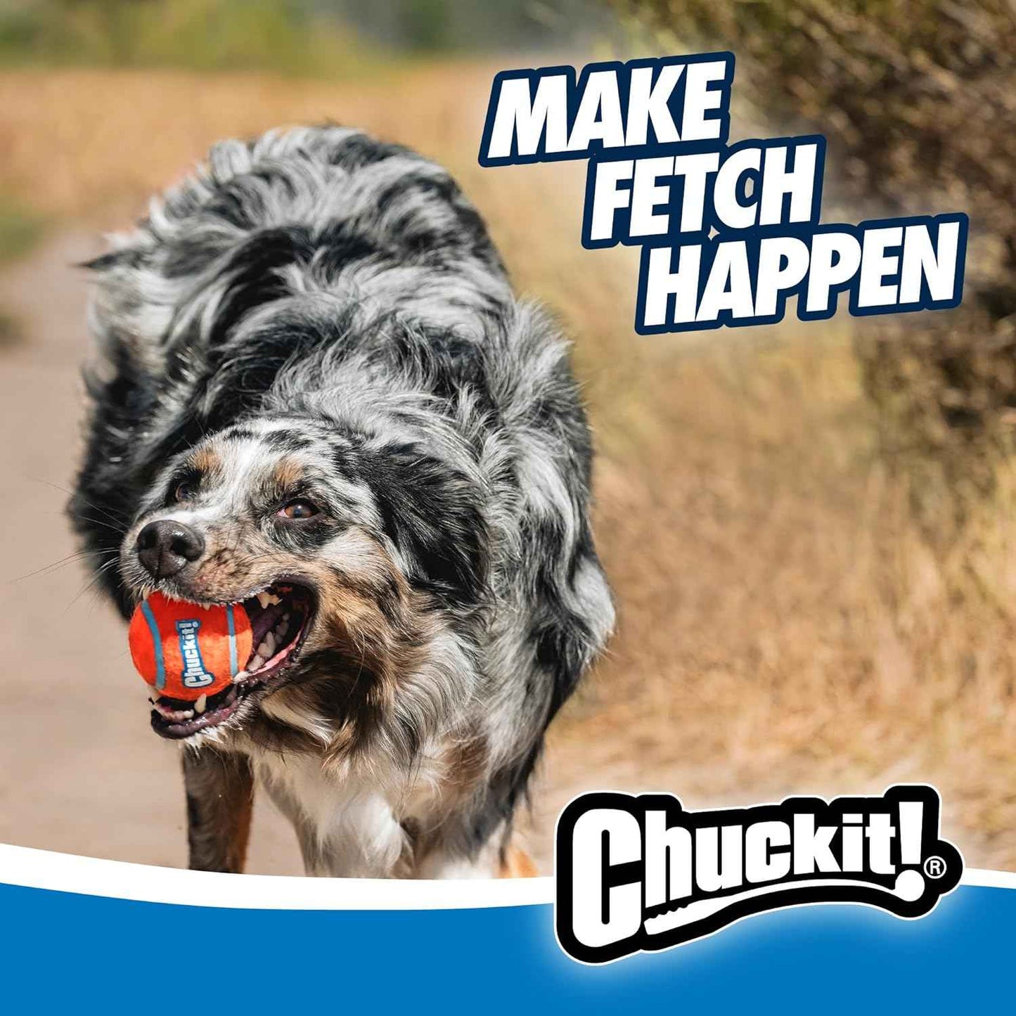 Chuckit! Dog Ball Launcher 12M Sport with 12" Handle Length for Medium (2.5" Dog Balls), Plastic Pet Fetch Ball Thrower, For Dogs 20-60 Pounds, Made in USA, Blue