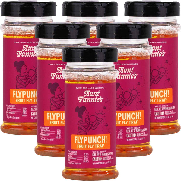 Aunt Fannie's FlyPunch Fruit Fly Trap for Indoor and Kitchen Use, Ready to Use, Made with Plant Based Ingredients, Safe Near Food, Each Bottle Lasts Up to 30 Days, Pack of 2