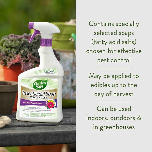 Garden Safe 32 oz. insecticidal soap for indoor and outdoor pest control of aphids and more