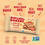 Nature's Bakery Oatmeal Crumble Bars, Strawberry, Real Fruit, Vegan, Non-GMO, 6 Boxes With 6 Packs, 36 Count