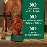 nutro natural choice adult dry dog food, chicken & brown rice recipe, 30 lb bag, supports healthy skin and coat