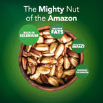 100% Wild-Grown Organic Brazil Nuts with High Selenium Content 7oz Pouch Non-GMO Snack