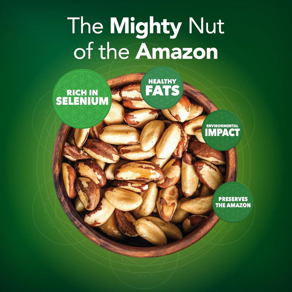 100% Wild-Grown Organic Brazil Nuts with High Selenium Content 7oz Pouch Non-GMO Snack