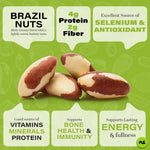 Brazil Nuts Roasted and Salted, No Shell, Whole, 16oz, Packed Fresh in Resealable Bag