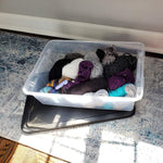HOMZ 2-Pack Snaplock Storage Bins for Organization and Storage