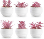 Der Rose Set of 6 Succulents Plants Artificial in Pots Small Fake Plants for Bedroom Aesthetic Living Room Shelf Bathroom Decor Office Desk Accessories