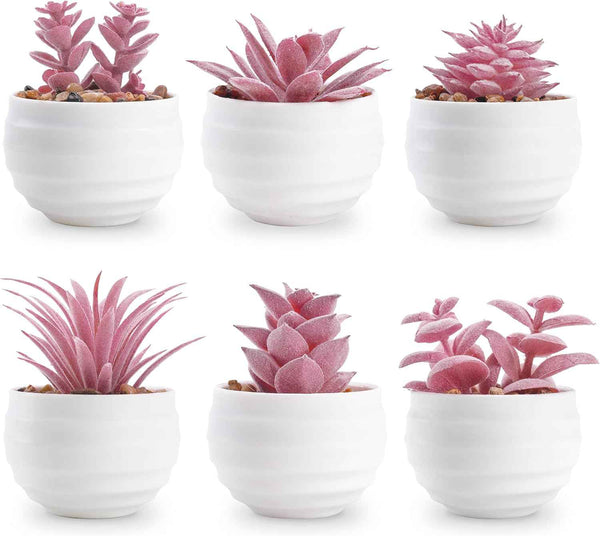 Der Rose Set of 6 Succulents Plants Artificial in Pots Small Fake Plants for Bedroom Aesthetic Living Room Shelf Bathroom Decor Office Desk Accessories