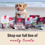 The Honest Kitchen Human Grade Dog Food Jerky Harvest Mini Bars Beef Recipe