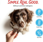 Farmland Traditions Beef Jerky Dog with 3 Ingredients and No Fillers