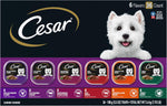 cesar wet dog food classic loaf in sauce variety pack grilled chicken beef chicken liver turkey 3.5 oz easy peel trays 36 count