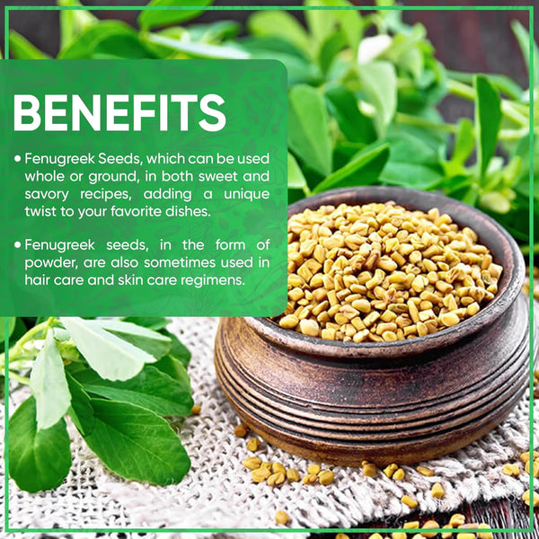 Jiva Organic Fenugreek Seeds 7 Ounce - Non-GMO, Gluten Free, All Natural Fenugreek Spice - USDA Certified, Product of India
