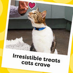Temptations Cat Classic Crunchy and Soft in Tasty Chicken Flavor 30 oz Tub