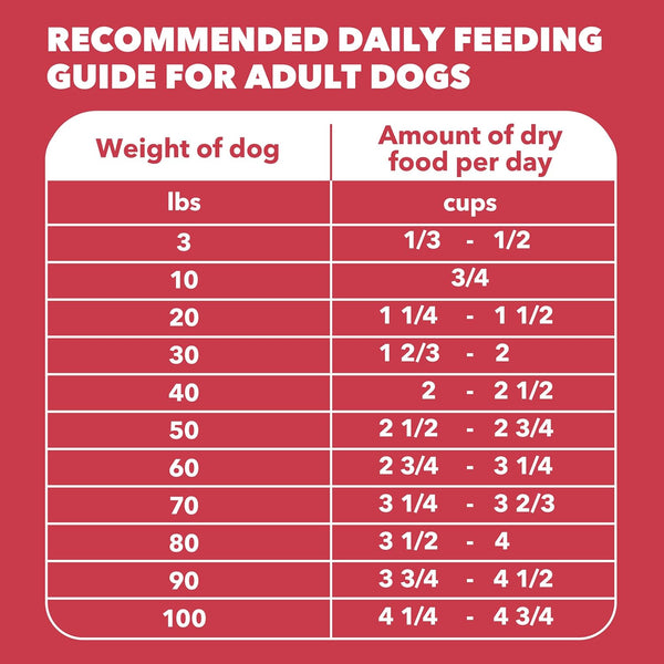 iams-proactive-health-minichunks-adult-dry-dog-food-30-lb-bag-lamb-rice