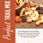 Dried Apricots No Sugar Added, 1 Pound, Turkish Apricots Dried Fruit