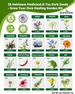 Herb Seeds Variety Pack for Planting Indoor & Outdoor
