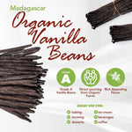 FitNClean Madagascar Vanilla Beans Bulk Fresh Organic Grade A Pods Non-Gmo 5 Long for Baking and Extract