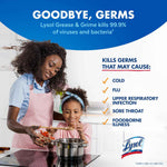 Lysol Pro 22oz Citrus Scent Kitchen Spray Cleaner and Degreaser Antibacterial All Purpose Cleaning Spray for Countertops, Ovens, and Appliances