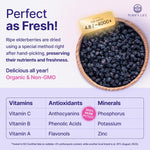 USDA Certified Organic Dried Elderberries 1lb Bulk Non Irradiated Non GMO Whole Black Elderberry