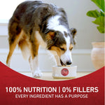 Purina ONE Chicken and Rice Formula Dry Dog Food, 16.5 lb Bag, Adult Dog Nutrition