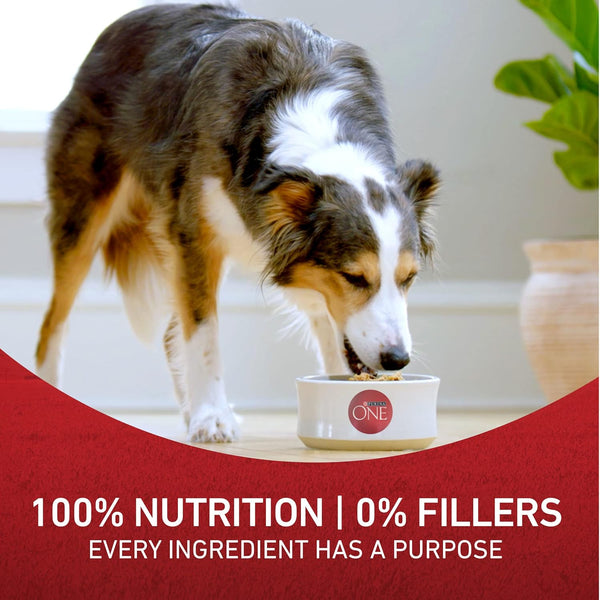 Purina ONE Chicken and Rice Formula Dry Dog Food, 16.5 lb Bag, Adult Dog Nutrition