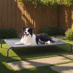 Bedsure elevated dog bed, large size, grey, 49 inches, portable indoor & outdoor cooling raised cot pet hammock bed