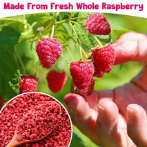 Premium Freeze Dried Raspberries Pieces for Baking and Snacking