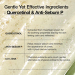 anua heartleaf quercetinol pore deep cleansing foam, gentle exfoliation, hydrating finish, 150ml/5.07 fl.oz, facial cleanser
