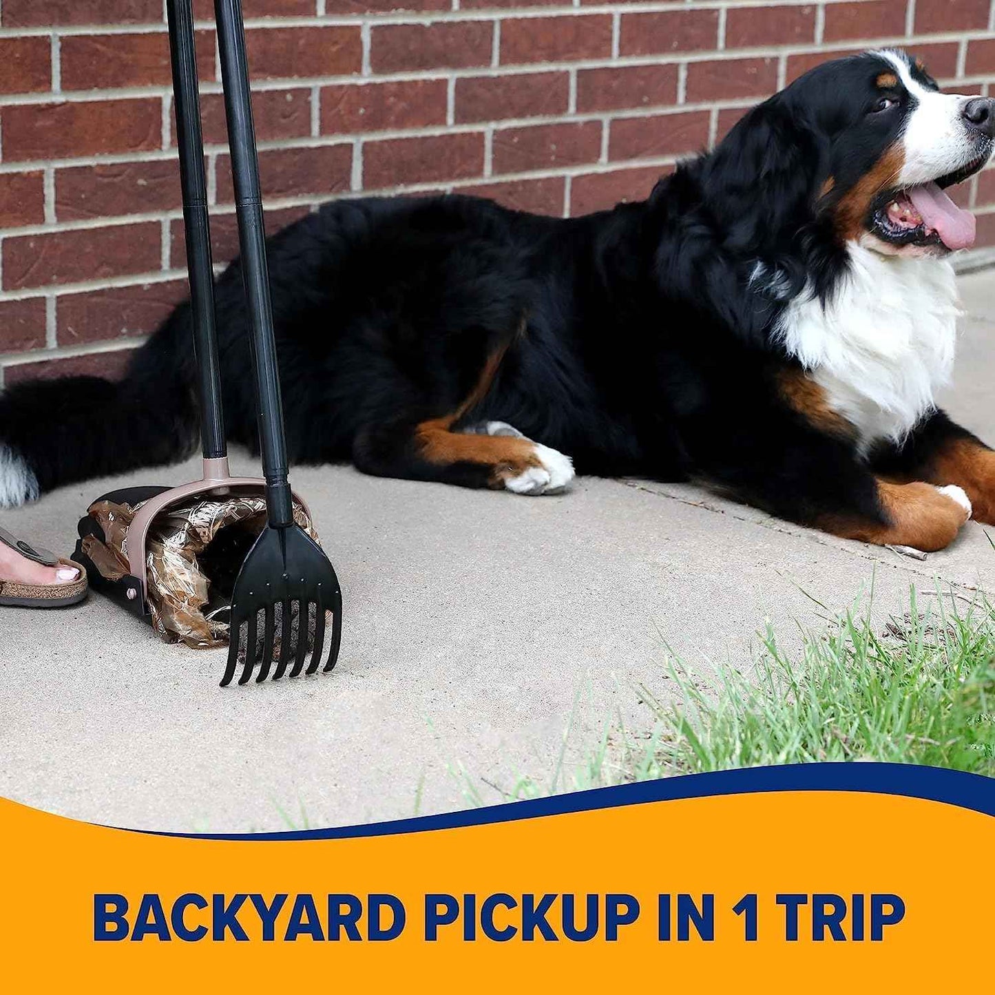 Arm & Hammer Dog Pooper Scooper Swivel Bin & Rake, Poop Scoop for Dogs, Black (2 Heavy Duty Scented Waste Bags Included)