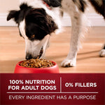 purity-one-true-instinct-turkey-venison-dry-dog-food-36-lb-bag