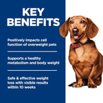 Hill's Science Diet Adult Perfect Weight Small & Mini Dry Dog Food, 4 lb. Bag with Chicken