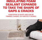 Tomcat Rodent Block Expanding Foam Barrier for Gaps and Cracks - 12 oz, Mice Repellent