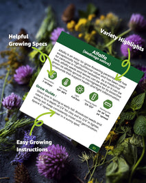 Herb Seeds Variety Pack for Planting Indoor & Outdoor