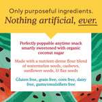 Simple Mills Honey Cinnamon Seed & Nut Flour Sweet Thins Snack Packs