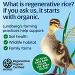 Lundberg Family Farms Organic Jasmine Rice, California White, 32 Oz