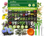 Herb Seeds Variety Pack for Planting Indoor & Outdoor