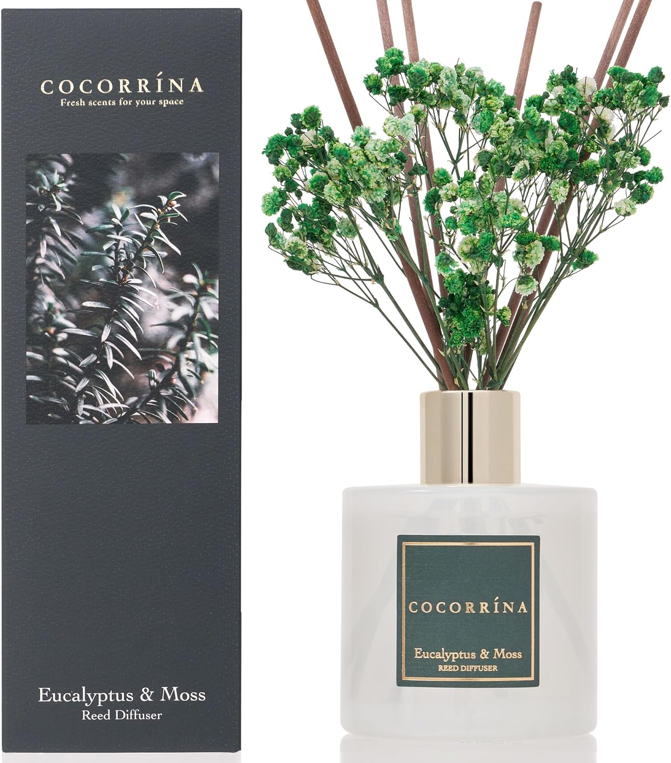 Cocorrína Premium Reed Diffuser Set with Preserved Baby's Breath & Cotton Stick Cashmere Vanilla | 6.7 fl oz Scent Fragrance Oil Diffuser for Bedroom Bathroom Home Décor