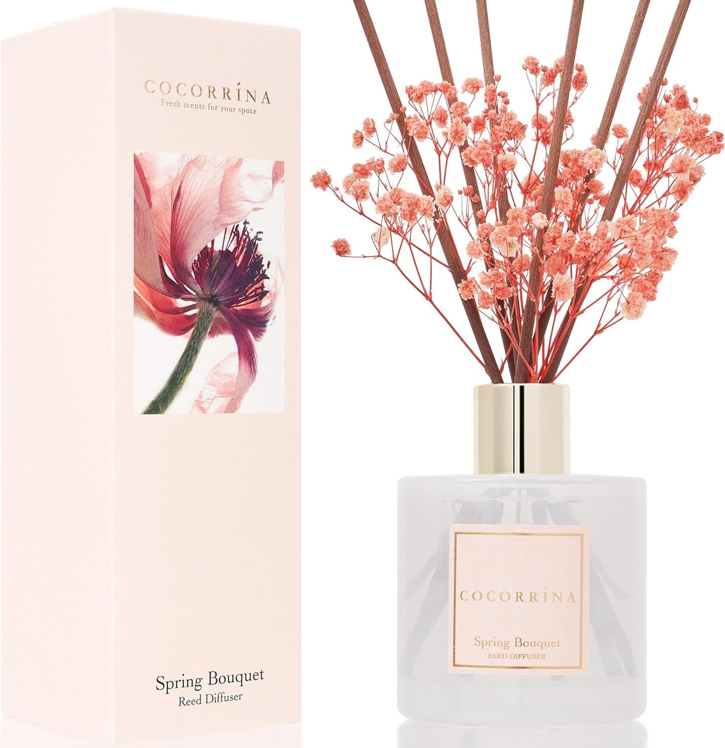 Cocorrína Premium Reed Diffuser Set with Preserved Baby's Breath & Cotton Stick Cashmere Vanilla | 6.7 fl oz Scent Fragrance Oil Diffuser for Bedroom Bathroom Home Décor